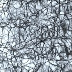 gambar saraf berwarna hitam di otak