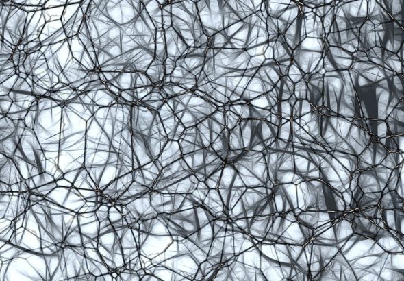 gambar saraf berwarna hitam di otak